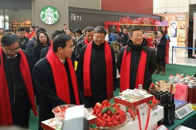 【重點關注】2019大連草莓文化旅游節暨農業產品博覽會隆重啟幕